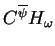 $C^{\overline{\psi}}H_{\omega}$