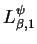 $L_{\beta,1}^{\psi}$